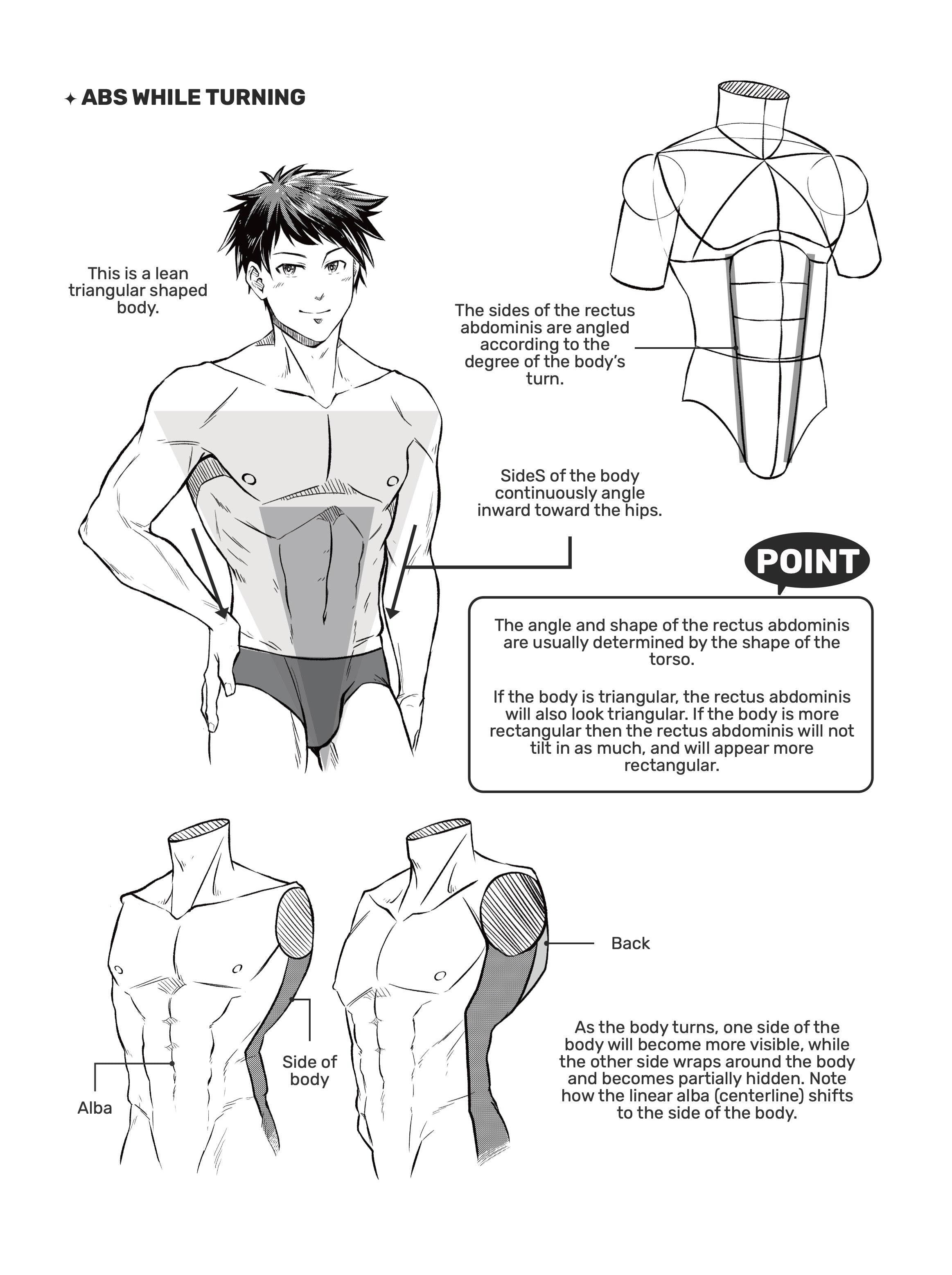 How To Draw Male Body Types How To Draw Male Body Types